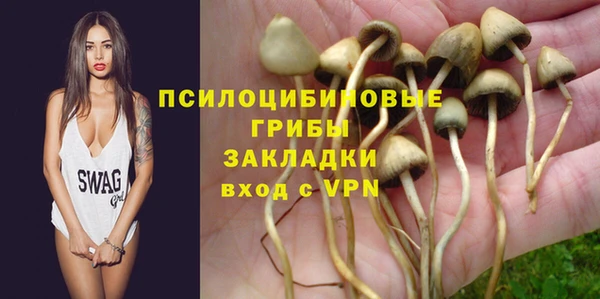 дурь Каменск-Шахтинский