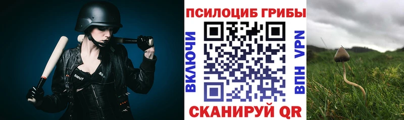 Псилоцибиновые грибы мицелий  Купить  Котельниково 